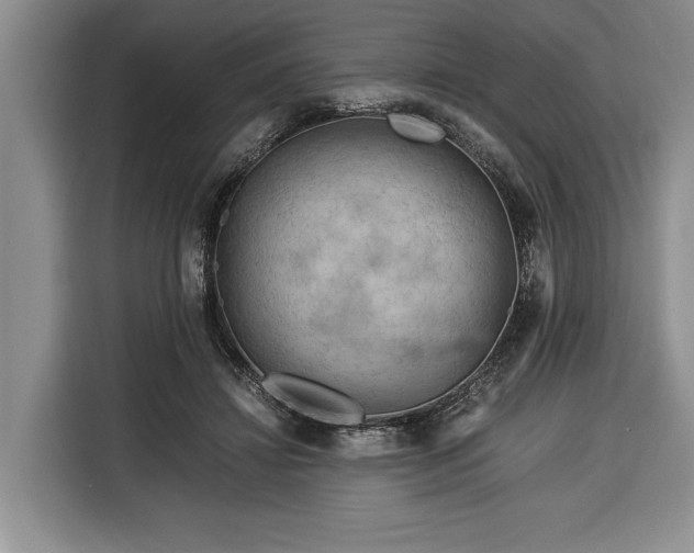 X0000116370452200912091241