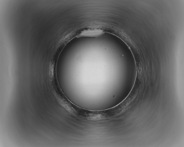 X0000116370454200912091241