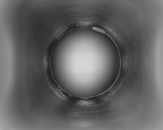 X0000116370455200912091241