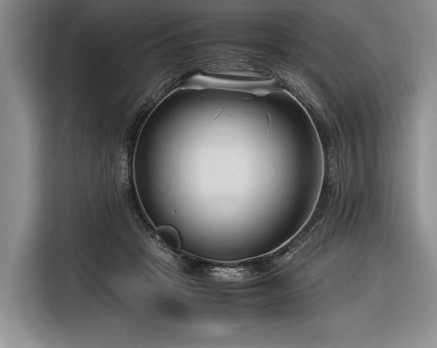 X0000116370457200912091241