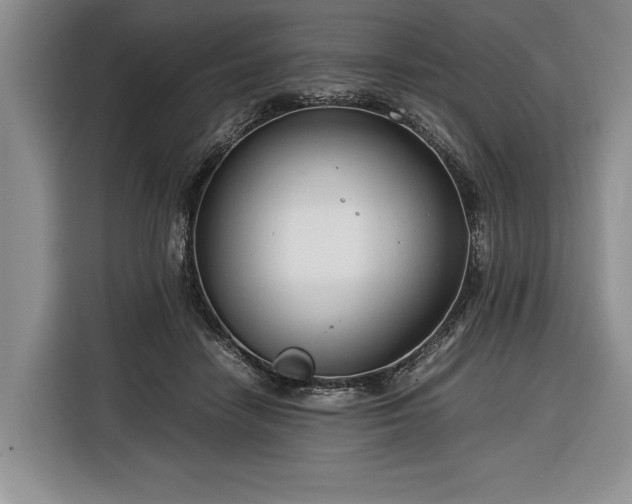 X0000116370458200912091241