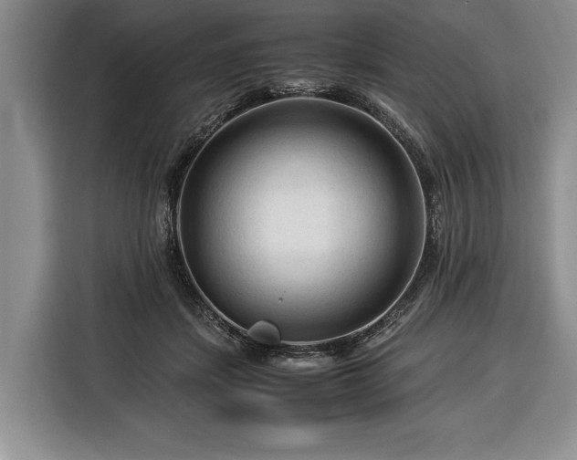 X0000116370459200912091241