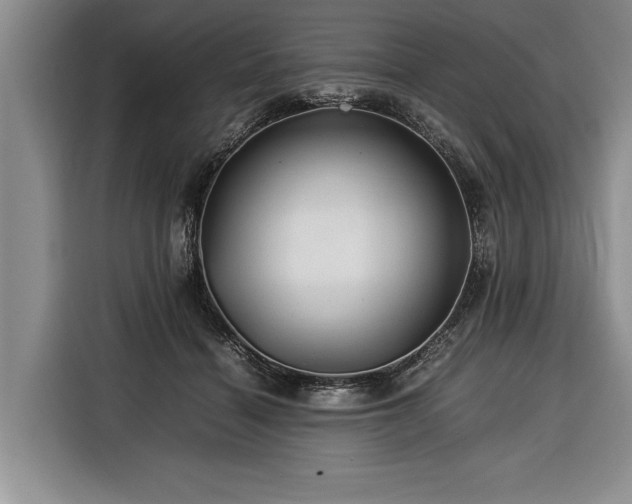 X0000116370460200912091241