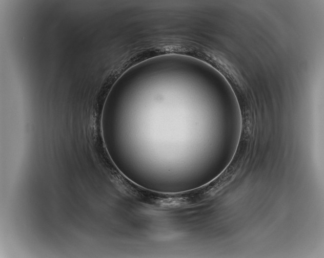 X0000116370461200912091241