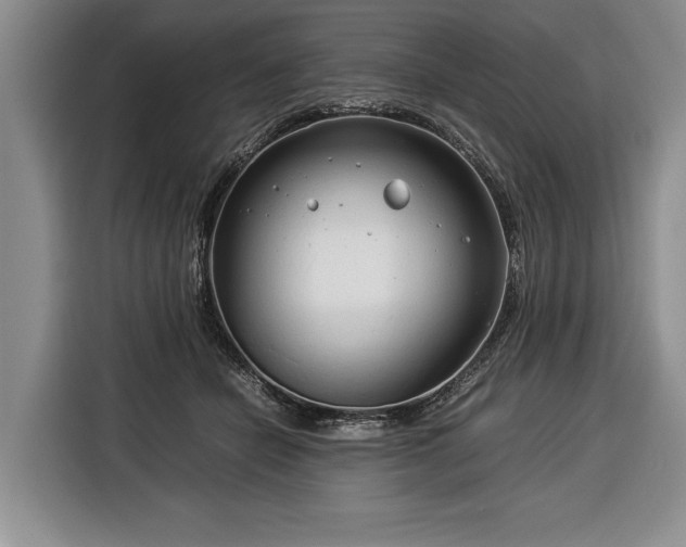 X0000116370462200912091241