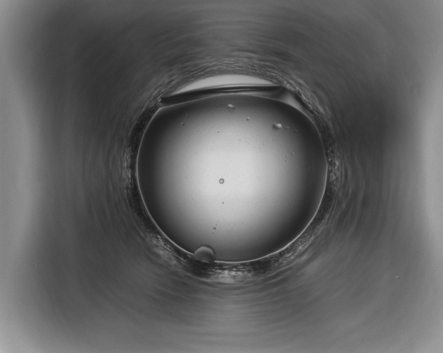 X0000116370466200912091241