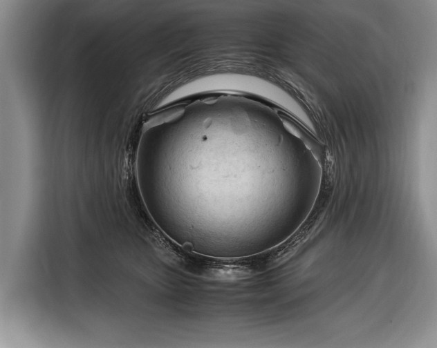 X0000116370467200912091241