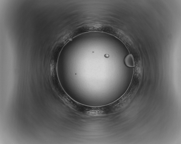 X0000116370468200912091241