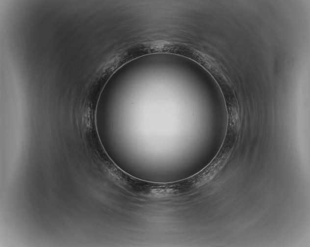 X0000116370470200912091241