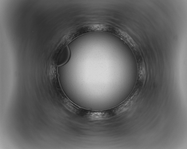 X0000116370473200912091241