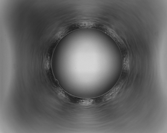 X0000116370474200912091241