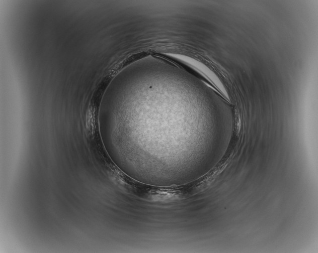 X0000116370475200912091241