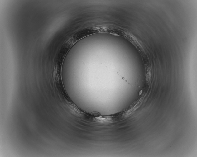 X0000116370477200912091241