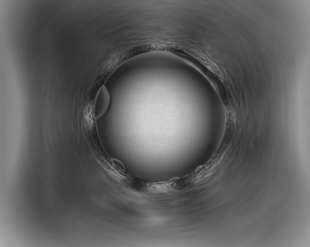 X0000116370479200912091241