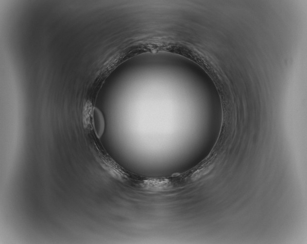 X0000116370480200912091241