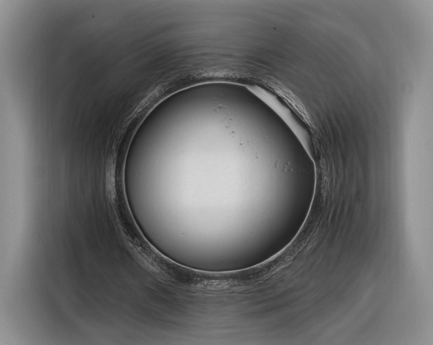 X0000116370482200912091241