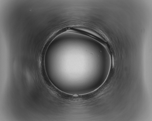 X0000116370483200912091241