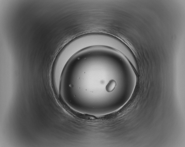 X0000116370485200912091241