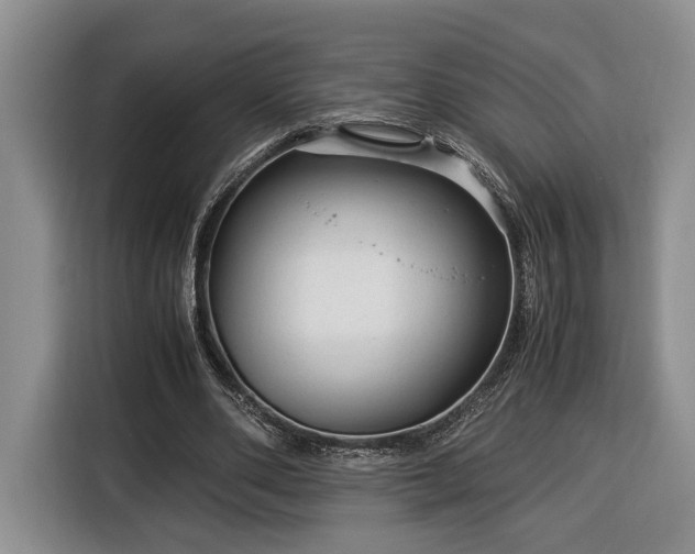 X0000116370486200912091241