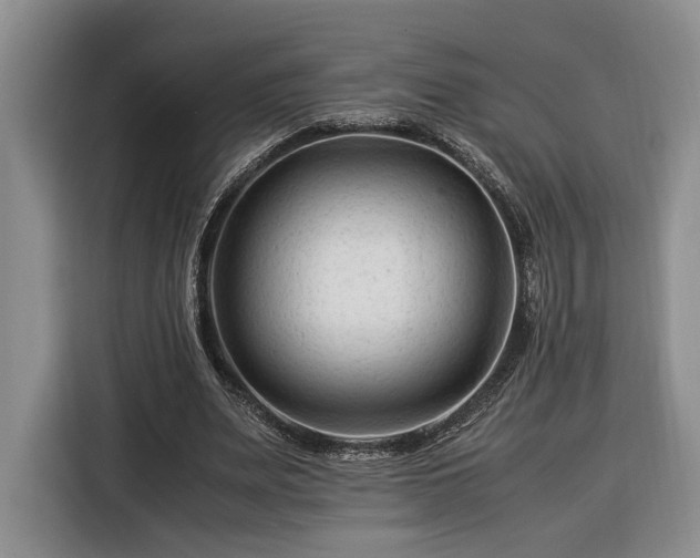 X0000116370487200912091241