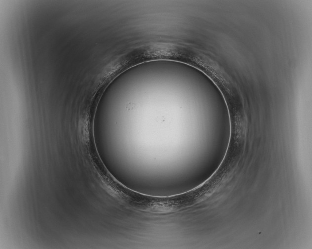 X0000116370489200912091241