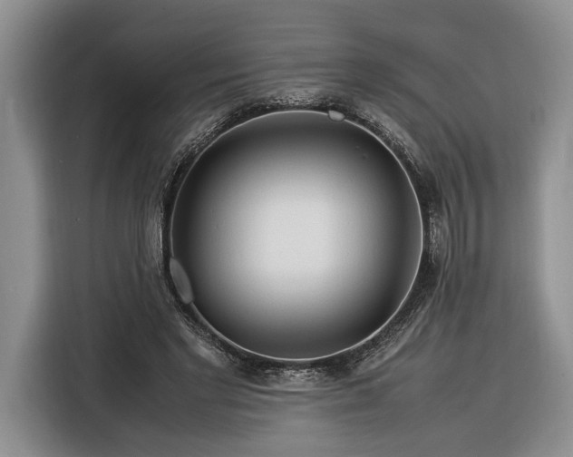 X0000116370493200912091241