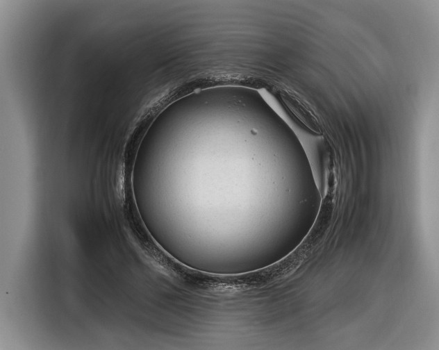 X0000116370494200912091241