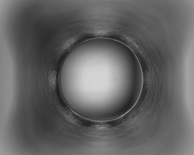 X0000116370495200912091241