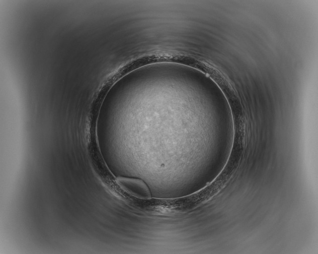 X0000116370496200912091240