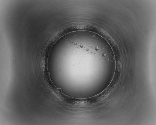 X0000116370497200912091240