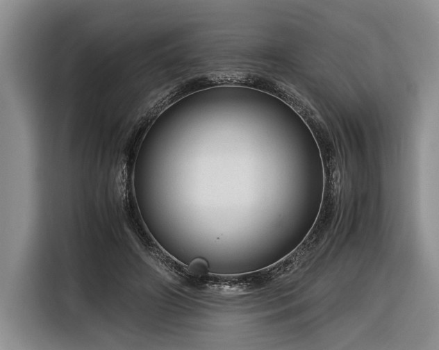 X0000116370498200912091240