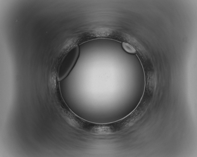 X0000116370501200912091240