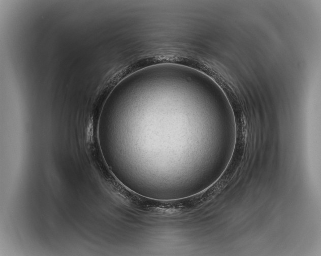 X0000116370502200912091240