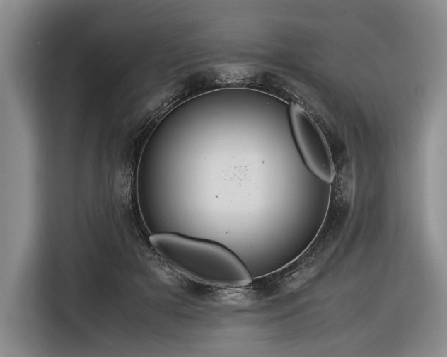 X0000116370505200912091240