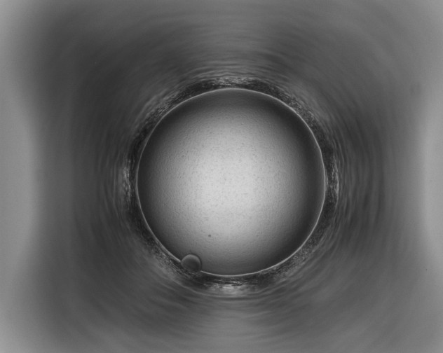 X0000116370506200912091240