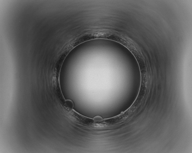 X0000116370510200912091240