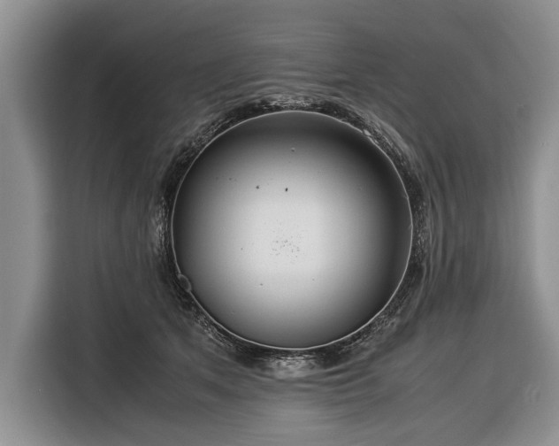 X0000116370513200912091240