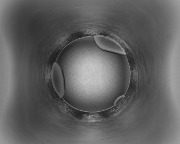 X0000116370517200912091240