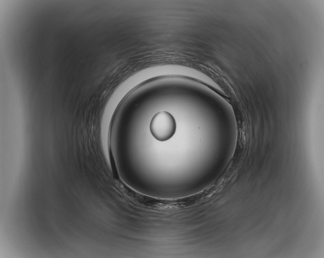 X0000116370520200912091240