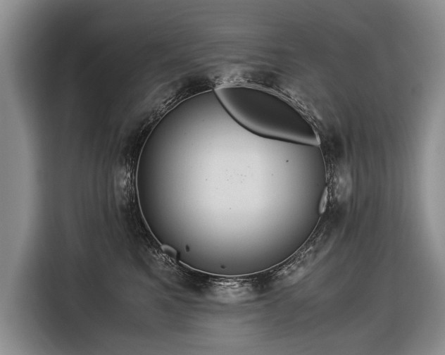 X0000116370521200912091240