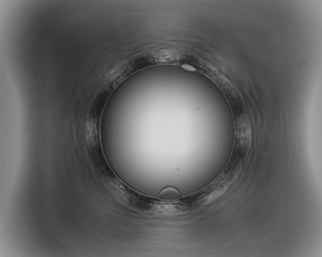 X0000116370523200912091240