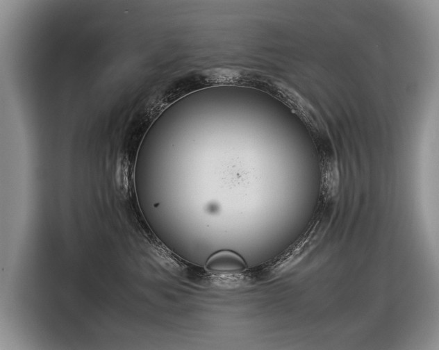 X0000116370525200912091240