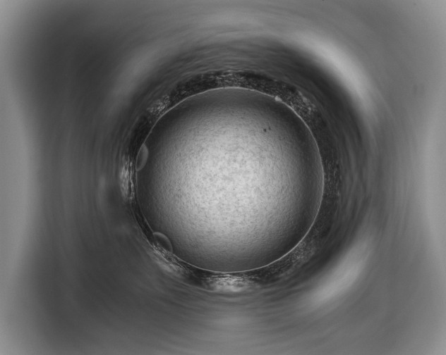 X0000116370527200912091240