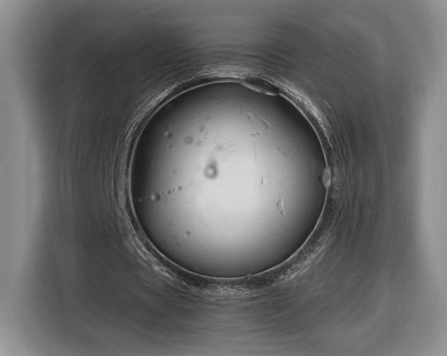 X0000116370529200912091239