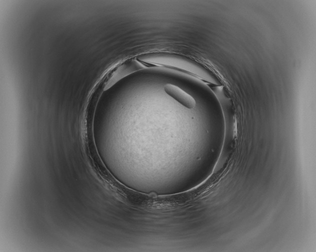 X0000116370531200912091239