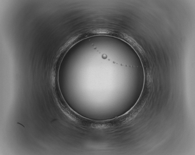 X0000116370533200912091239