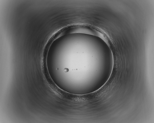 X0000116370535200912091239