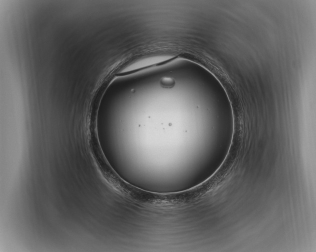 X0000116370538200912091239