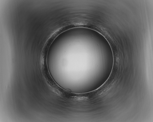 X0000116370539200912091239