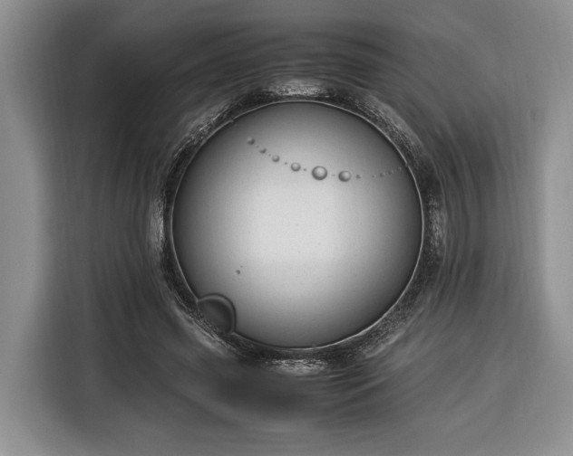 X0000116370541200912091239